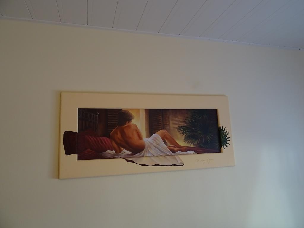 Apartment Euro As Kappel-Grafenhausen Ngoại thất bức ảnh